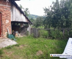 vand-casa-4-camere-cu-anexele-sale-teren-6000-mp-hartiesti-12
