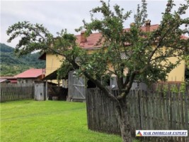 casa-3-camere-anexe-teren-2500-mp-hartiesti-5