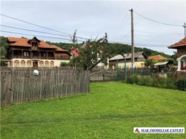 casa-3-camere-anexe-teren-2500-mp-hartiesti-6