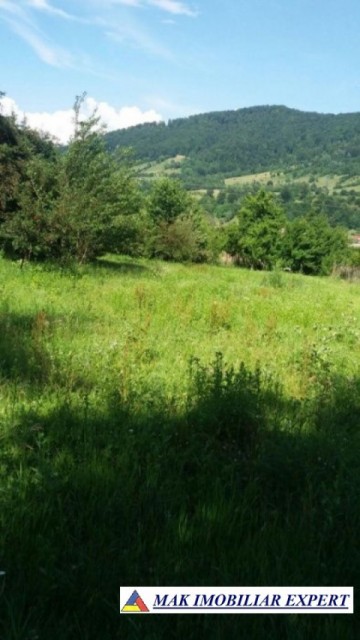 vandut