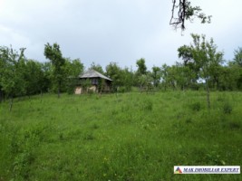 teren-4800-mp-intranilan-corbi-2