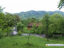 teren-4800-mp-intranilan-corbi-6