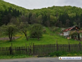 teren-2600-mp-intravilan-stoenesti-1