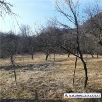 casa-4-cmere-teren-5095-mp-bughea-de-jos-2