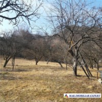 casa-4-cmere-teren-5095-mp-bughea-de-jos-3