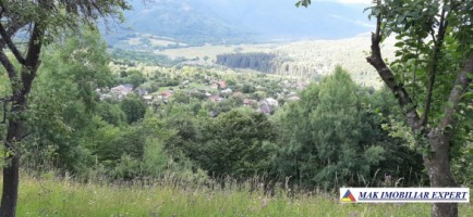 teren-5000-mp-extravilan-nucsoara-4