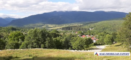teren-5000-mp-extravilan-nucsoara-10