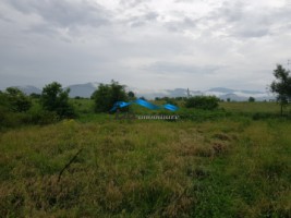 teren-26-ari-intre-mocira-si-recea-1500-eu-1