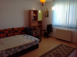 de-vanzare-casa-pretabila-pentru-doua-familii-8