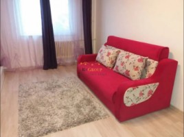 inchiriere-apartament-2-camere-decomandat-nicolina-lidl-2