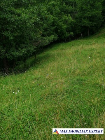 teren-extravilan-181-ha-matau-suslanesti-arges-ideal-pentru-agricultura-1