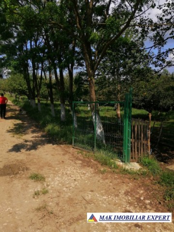 teren-extravilan-181-ha-matau-suslanesti-arges-ideal-pentru-agricultura-2