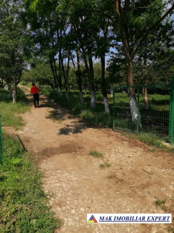 teren-extravilan-181-ha-matau-suslanesti-arges-ideal-pentru-agricultura-3