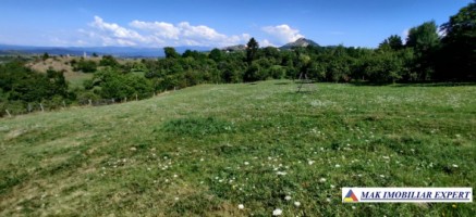 teren-1-ha-intavilan-stoenesti-piatra-3