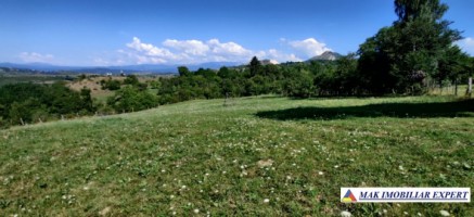 teren-1-ha-intavilan-stoenesti-piatra-2