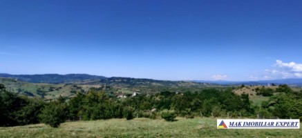 teren-1-ha-intavilan-stoenesti-piatra