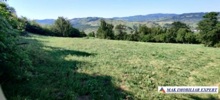 teren-1-ha-intavilan-stoenesti-piatra-1