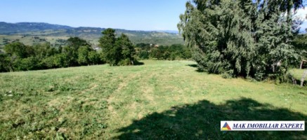 teren-1-ha-intavilan-stoenesti-piatra-5