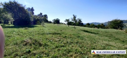 teren-1-ha-intavilan-stoenesti-piatra-6