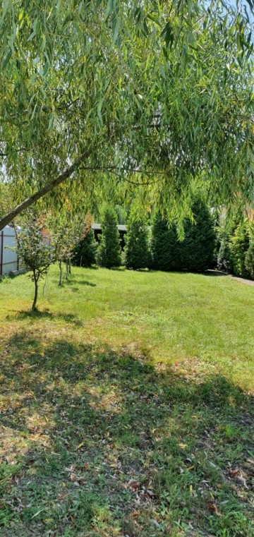 cocorastii-colt-intravilan-1381-mp-stradal-intre-case-la-31000-euro-21