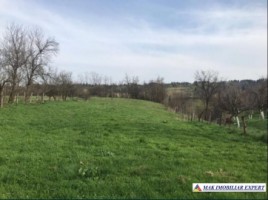 teren-intravilan-2972-mp-de-vanzare-in-bughea-de-sus-arges