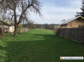 teren-intravilan-2972-mp-de-vanzare-in-bughea-de-sus-arges-2