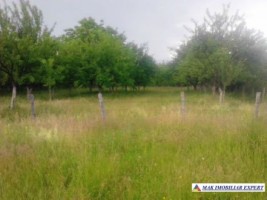 teren-2100-mp-intravilan-mihaesti