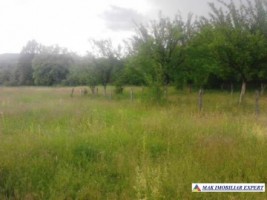 teren-2100-mp-intravilan-mihaesti-1
