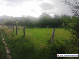 teren-2100-mp-intravilan-mihaesti-3