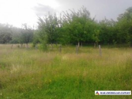 teren-2100-mp-intravilan-mihaesti-2