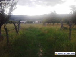 teren-2100-mp-intravilan-mihaesti-5