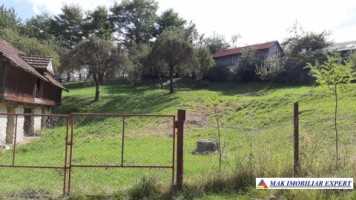 teren-intravilan-2500-mp-de-vanzare-in-albestii-de-muscel-ideal-pentru-constructii-rezidentiale
