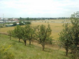 intravilan-25-ha-cu-deschidere-la-dn1-baicoi-6-euromp