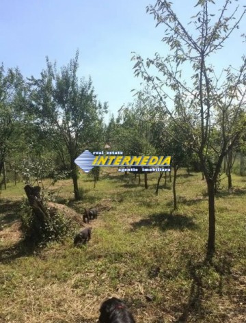 casa-de-vanzare-pe-cu-1200-mp-teren-in-micesti-11