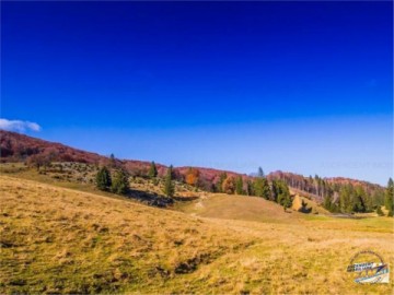 film-prezentare-poiana-brasov-segmentul-rezidenta-de-vacanta-13