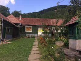 casa-comuna-blandiana-jud-alba-teren-3800-mp-1