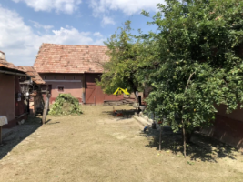 vand-casa-in-ghirbom-judalba-2