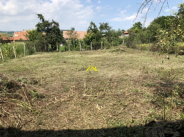 vand-casa-in-ghirbom-judalba-4