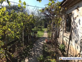 vila-7-camere-spatiu-comercial-teren-950-mp-de-vanzare-in-racari-dambovita-ideala-pentru-afaceri-si-locuinta-7