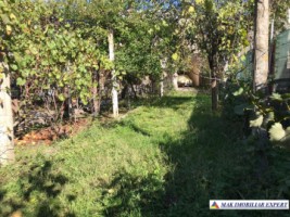 vila-7-camere-spatiu-comercial-teren-950-mp-de-vanzare-in-racari-dambovita-ideala-pentru-afaceri-si-locuinta-10