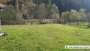 teren-500-mp-intravilan-rucar-satic