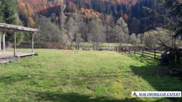 teren-500-mp-intravilan-rucar-satic-3