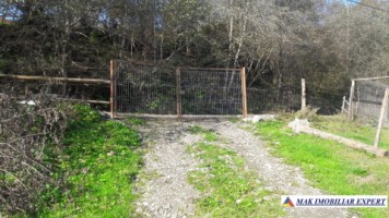 teren-500-mp-intravilan-rucar-satic-6