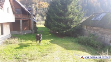 teren-500-mp-intravilan-rucar-satic-5