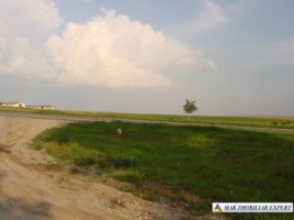 teren-extravilan-328-ha-de-vanzare-in-ghimpati-giurgiu-ideal-pentru-proiecte-industriale-sau-agricole-0