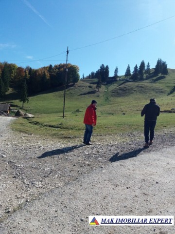 teren-intravilan-1000-mp-de-vanzare-in-dambovicioara-dealul-sasului-arges-3