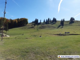 teren-intravilan-1000-mp-de-vanzare-in-dambovicioara-dealul-sasului-arges-5