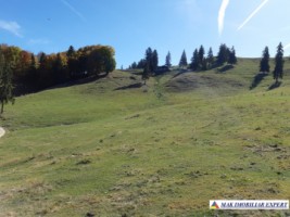 teren-intravilan-1000-mp-de-vanzare-in-dambovicioara-dealul-sasului-arges-6