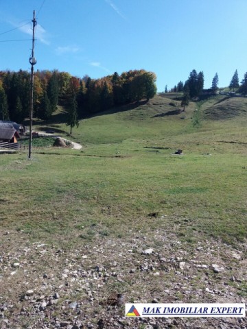 teren-intravilan-1000-mp-de-vanzare-in-dambovicioara-dealul-sasului-arges-10