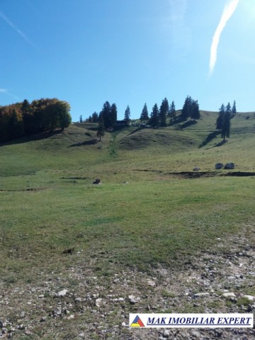 teren-intravilan-1000-mp-de-vanzare-in-dambovicioara-dealul-sasului-arges-11